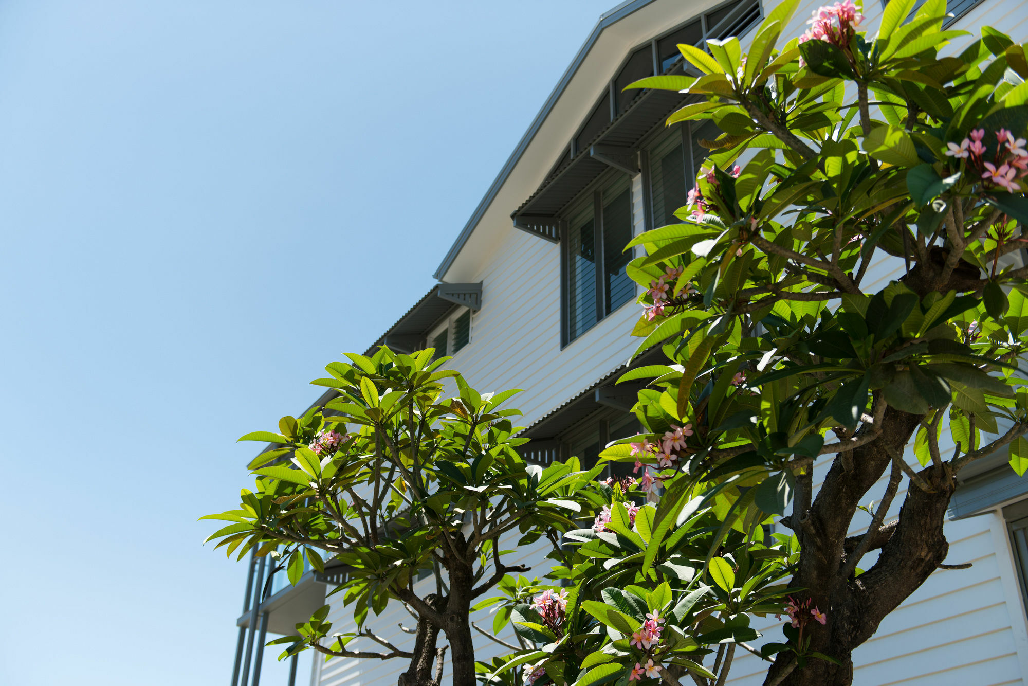 Heart Hotel And Gallery Whitsundays Airlie Beach Εξωτερικό φωτογραφία