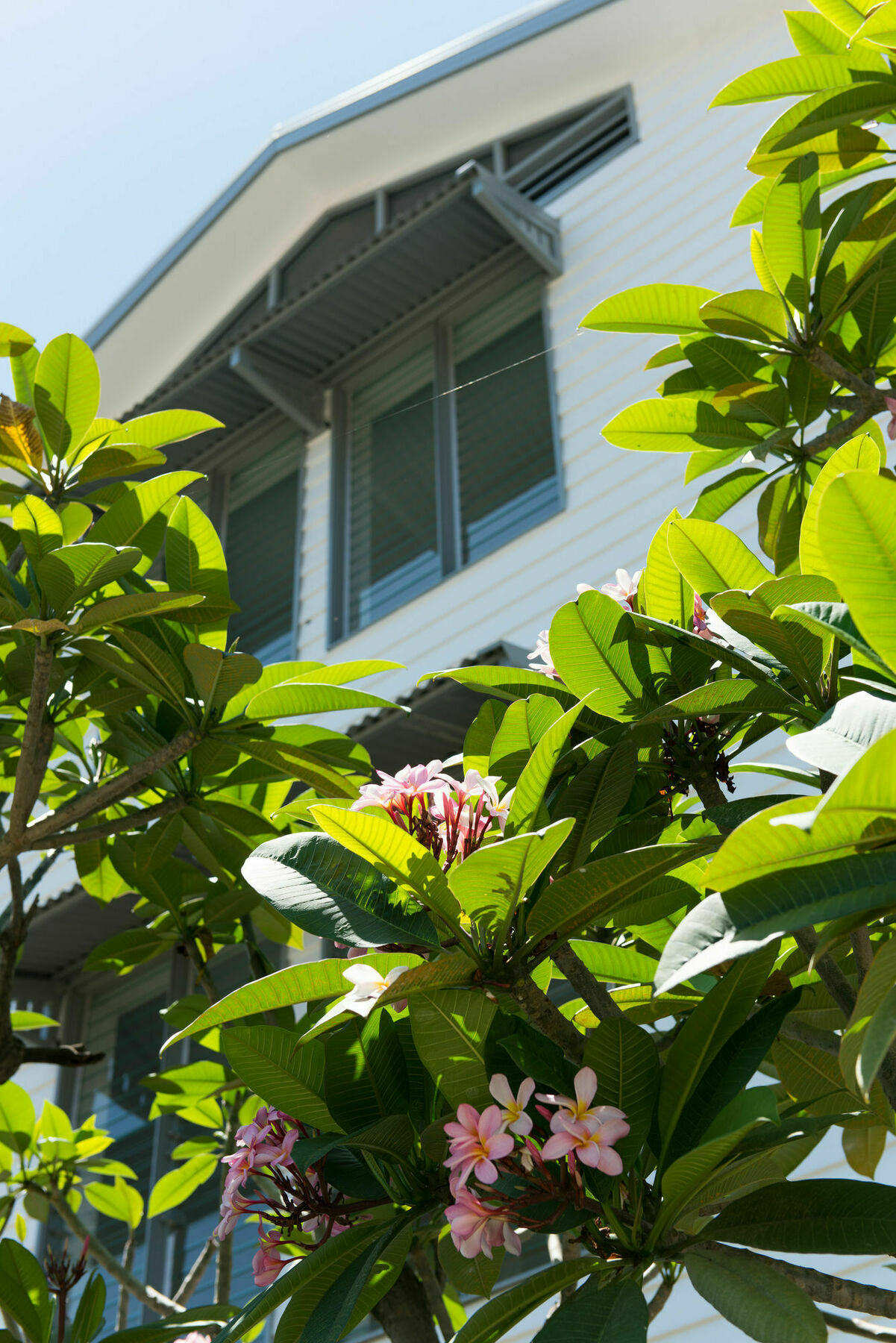 Heart Hotel And Gallery Whitsundays Airlie Beach Εξωτερικό φωτογραφία